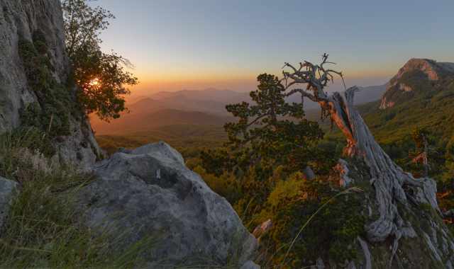 Diffondono bellezza e rispetto per l'ambiente: sono i "fotografi naturalisti"